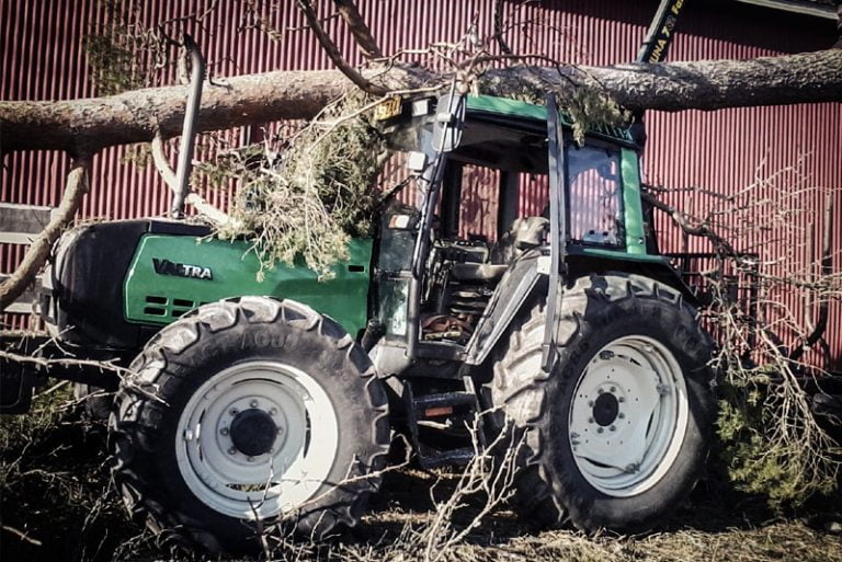 Näin sujuu puun kaataminen traktorilla